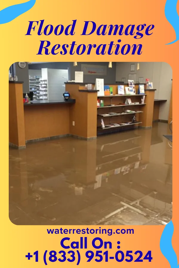 Flood Damage Restoration in St. Rose, IL